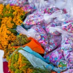 Confetti in Basket Chapala Mexico