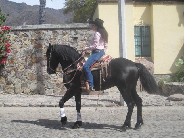 Woman on horse