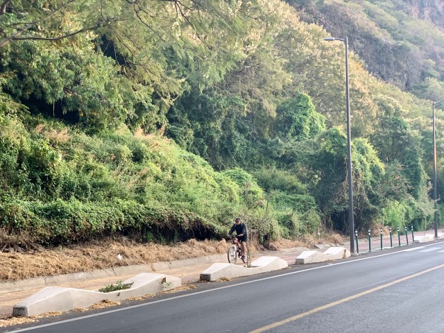 The Ciclopista Bike Lane in Riberas del Pilar
