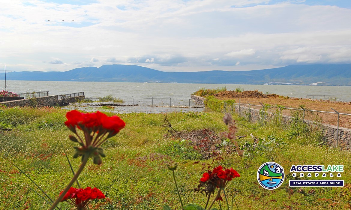 IMG_5067 Access Lake Chapala Real Estate